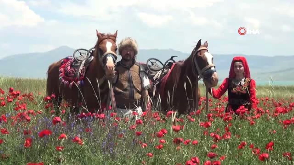 Van Gölü sahilindeki gelincik tarlaları doğal fotoğraf stüdyosuna dönüştü