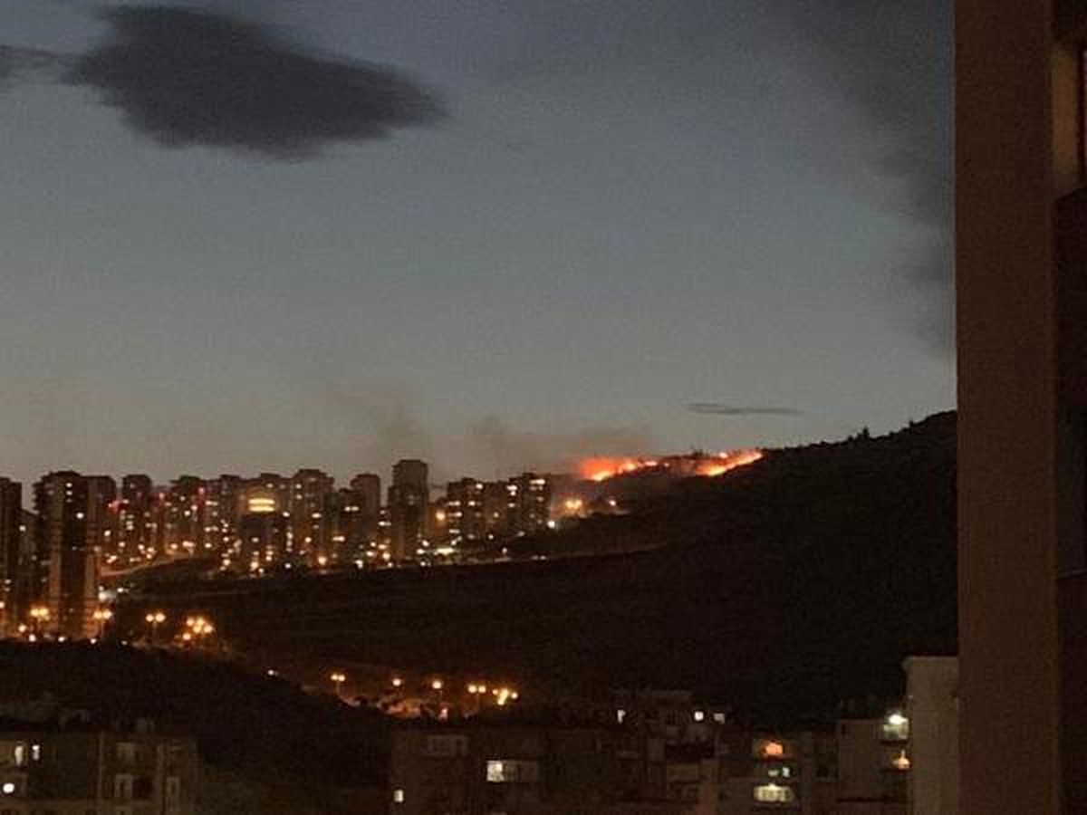 İzmir\'de orman yangını