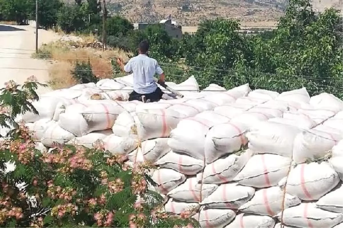 Kamyondaki saman balyaları elektrik tellerine takıldı