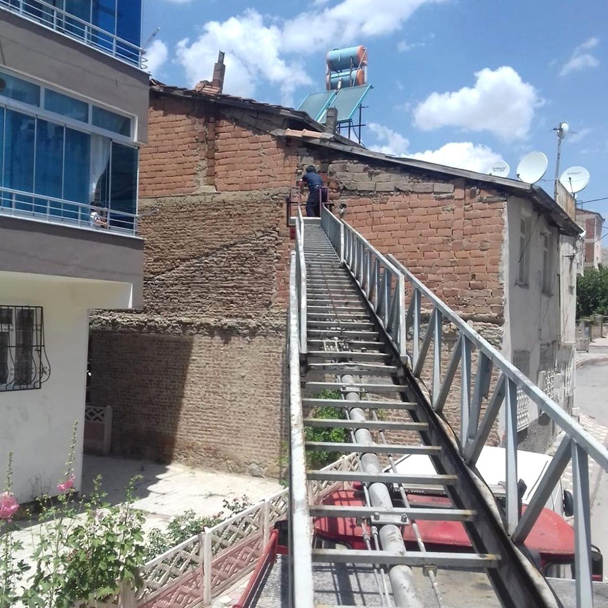 Mahsur kalan kırlangıcı itfaiye ekibi kurtardı