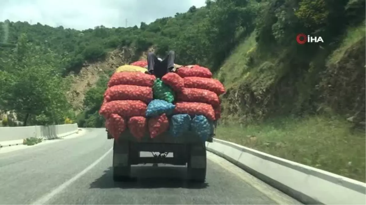 Tarladan pazara tehlikeli yolculuk