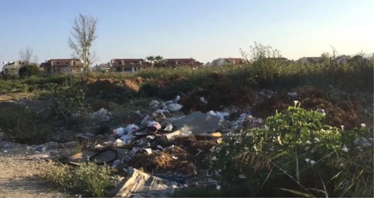 Turizm cenneti Kuşadası\'ndaki çöp yığınları vatandaşları isyan ettirdi