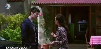 Yaralı Kuşlar 50. Bölüm Fragmanı