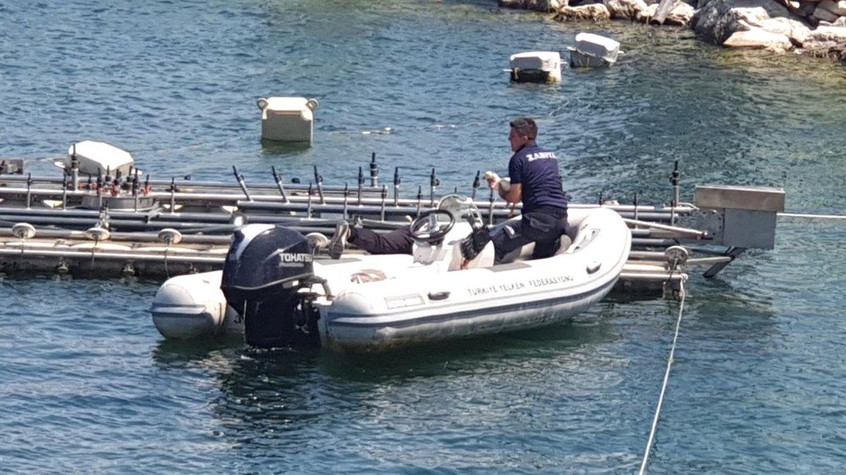 Zabıta\'dan gölde ördek kurtarma operasyonu