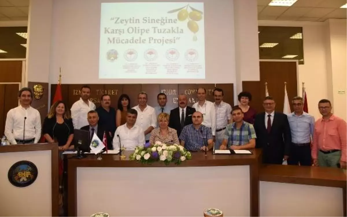 Zeytin sineğiyle tuzaklı mücadele