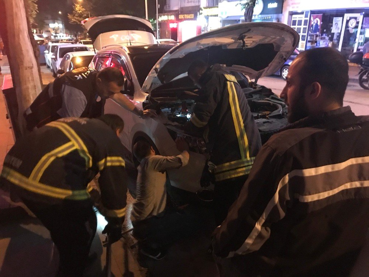 Bir aracın motoruna sıkışan kediyi kurtarmak için ön tekerlek söküldü, 2 saat uğraşıldı