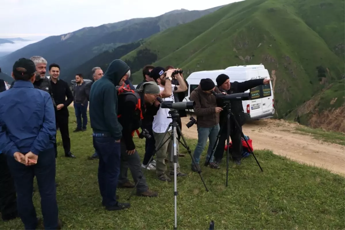 Dağ horozu kendini 3 yıl sonra 2 km uzaktan dürbünle gösterdi