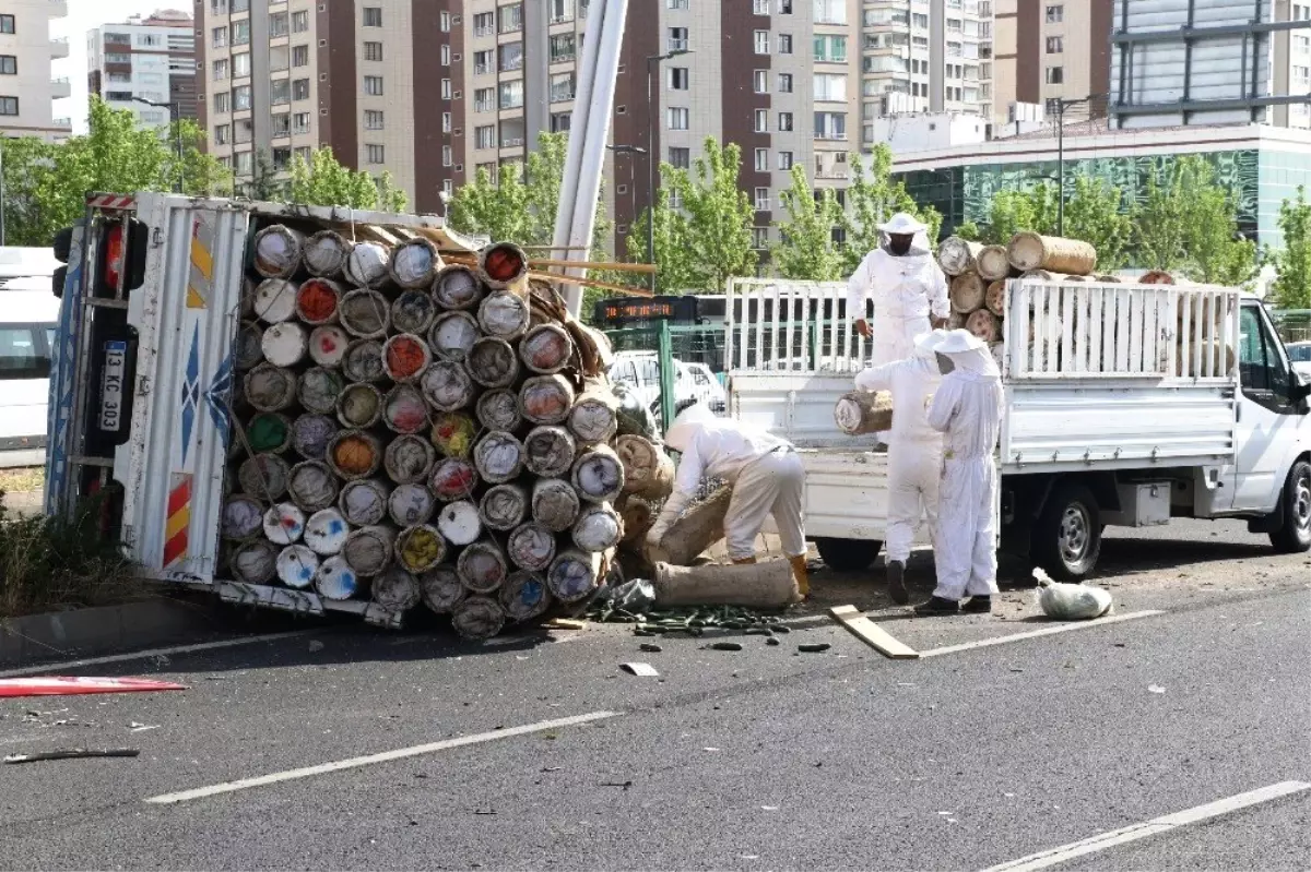 Diyarbakır\'da trafik kazası sonrası firar eden arılar bulundu