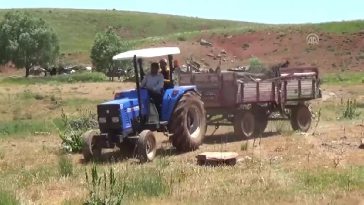 Muş\'ta gecikmeli yayla yolculuğu