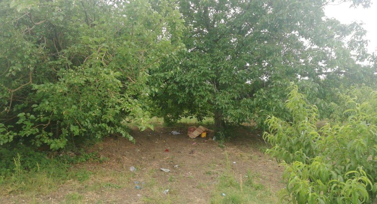 Piknik yaparken üzerine yıldırım düştü