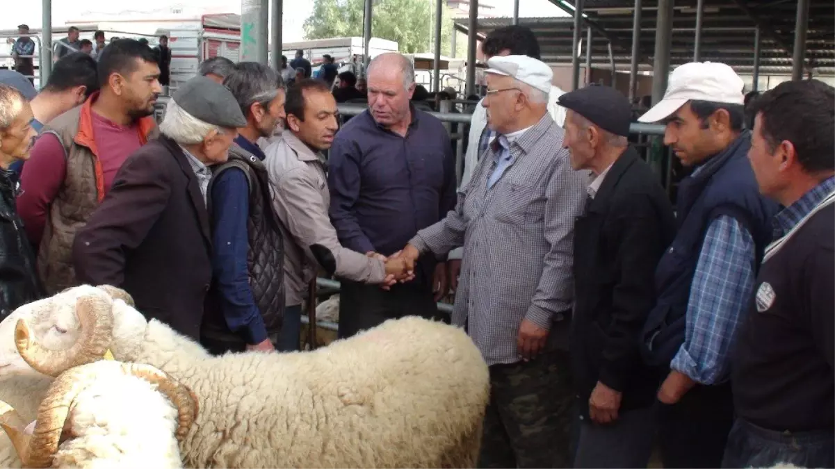 Şuhut Hayvan Pazarında küçükbaş hayvan üreticileri yem fiyatlarından şikayetçi