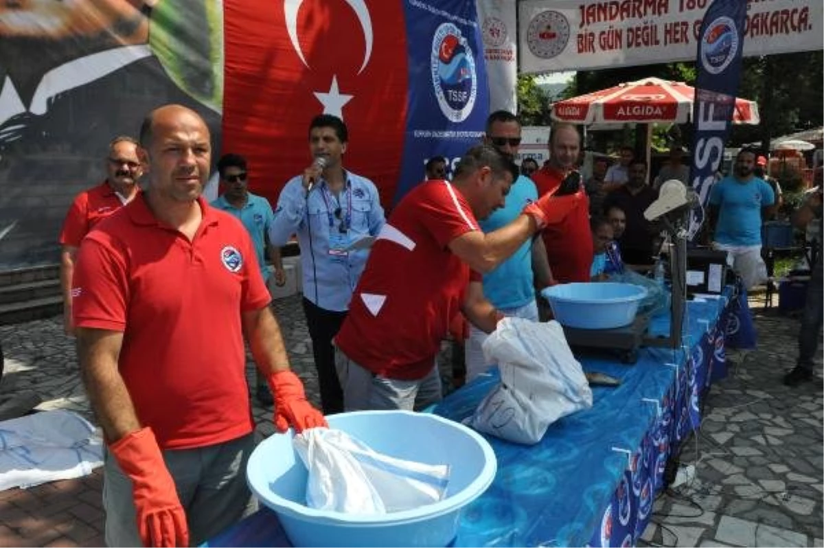Zıpkınla Balık Avı Türkiye Şampiyonası, Amasra\'da başladı (2)