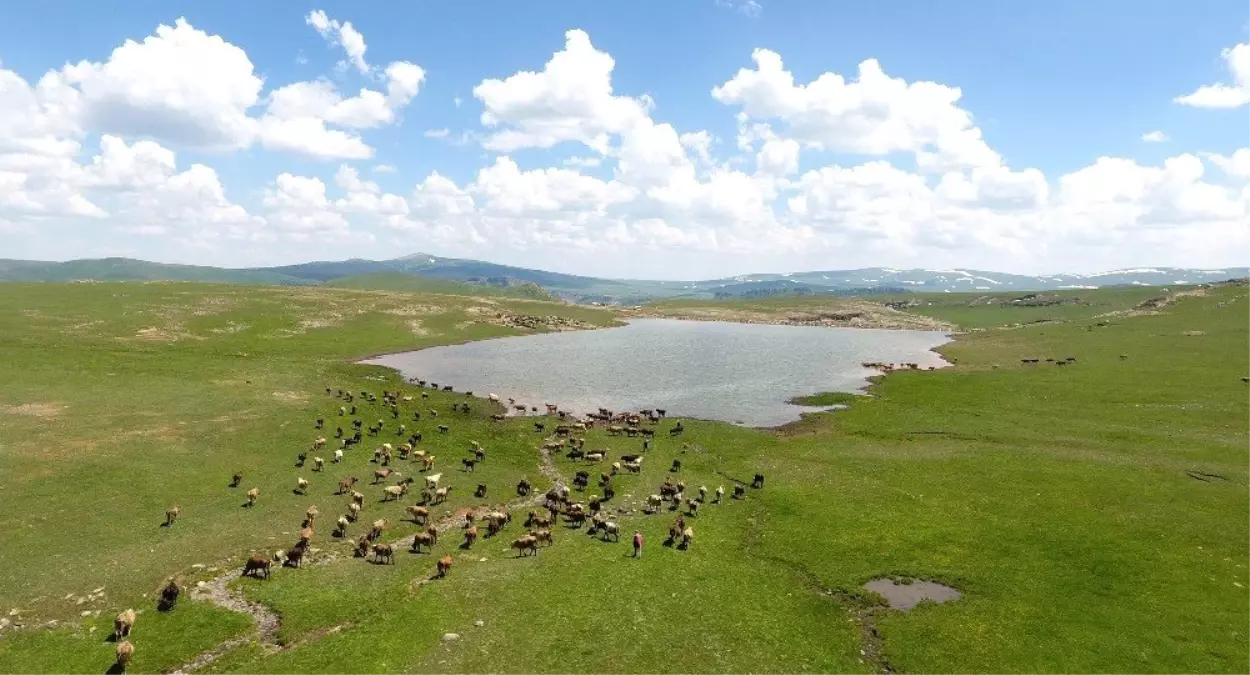 Erzurum Büyükşehir Belediyesi\'nden gölet rekoru