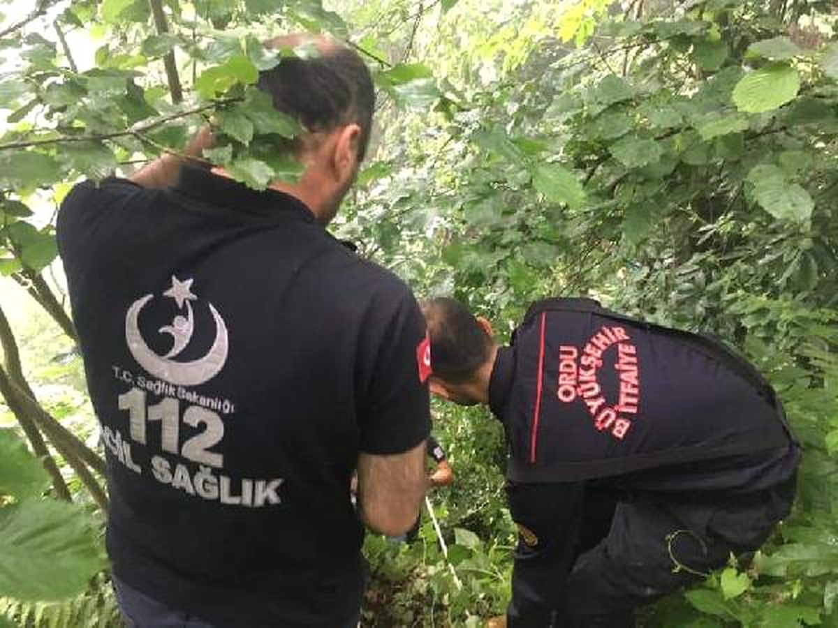 Kestiği ağacın altında kalıp yaralandı