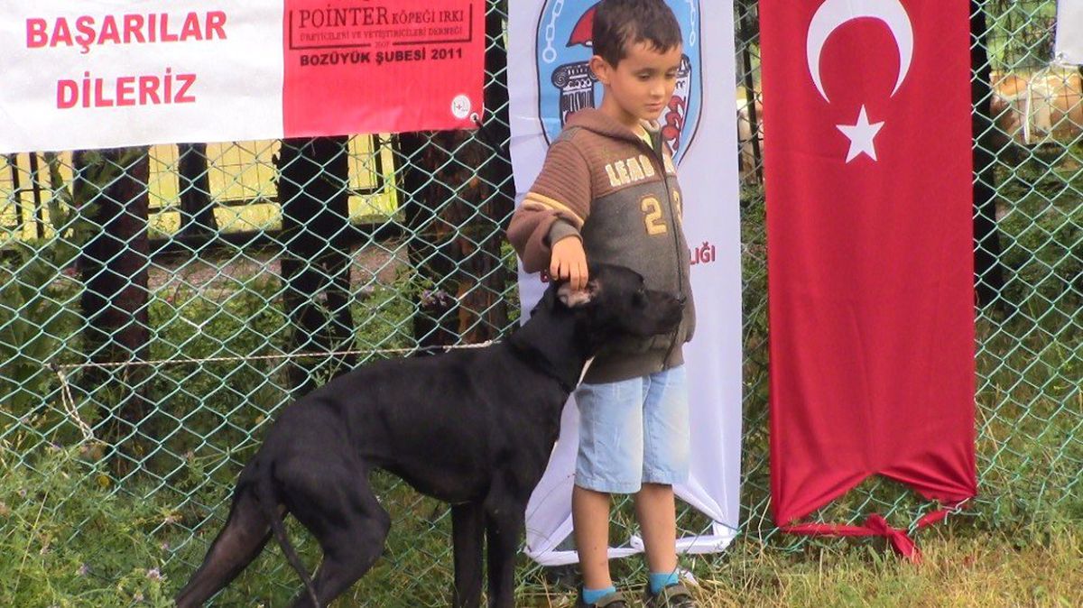 Küçük çocuğun köpekle dostluğu