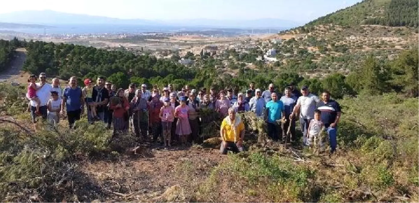 Mahallede ağaç kesimine tepki