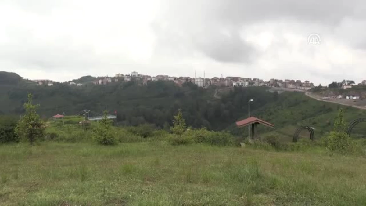 Ordu\'da dolunun zarar verdiği araçların tamirinde yoğunluk