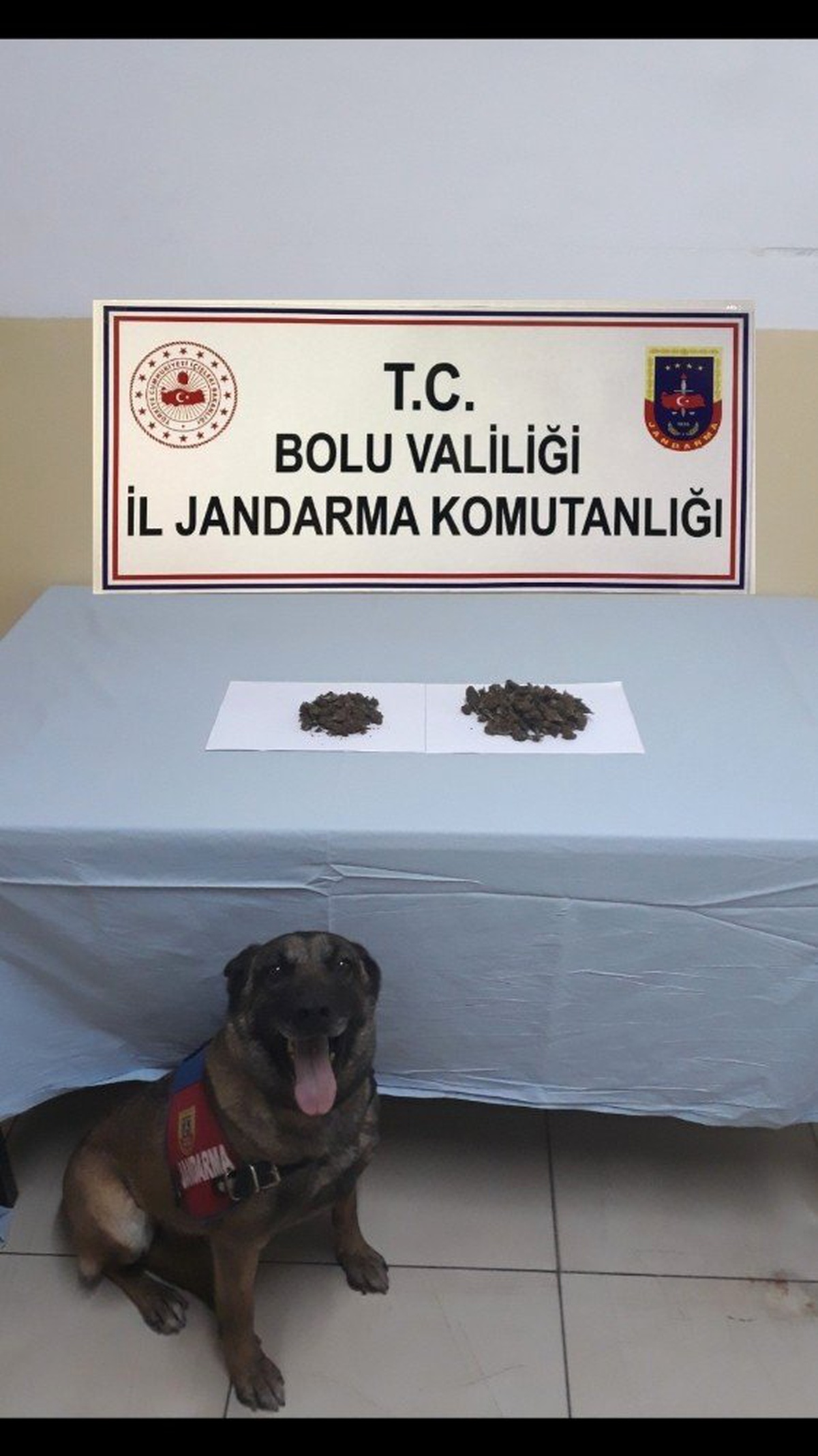Bolu\'da uyuşturucu operasyonu: 3 gözaltı