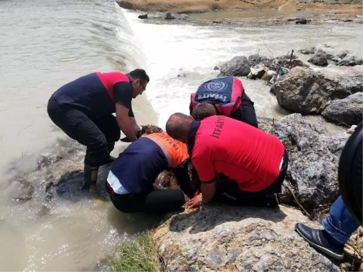 Çaya düşen eşeği itfaiyeciler kurtardı