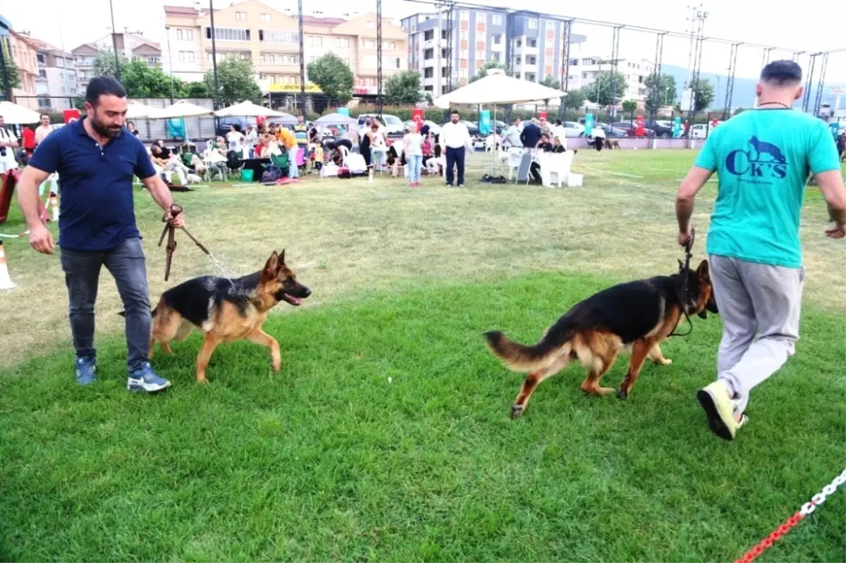 Farklı köpek ırkları Nilüfer\'de buluştu