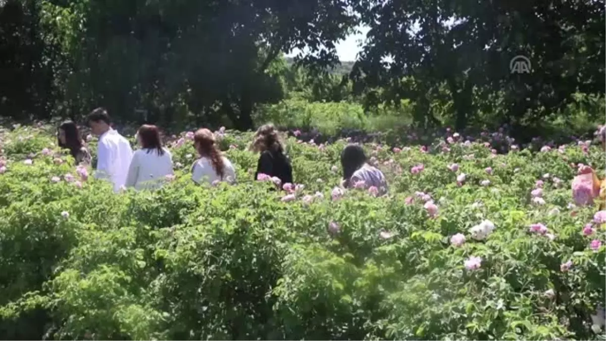 Isparta "kozmetikte markalaşmayı" hedefliyor