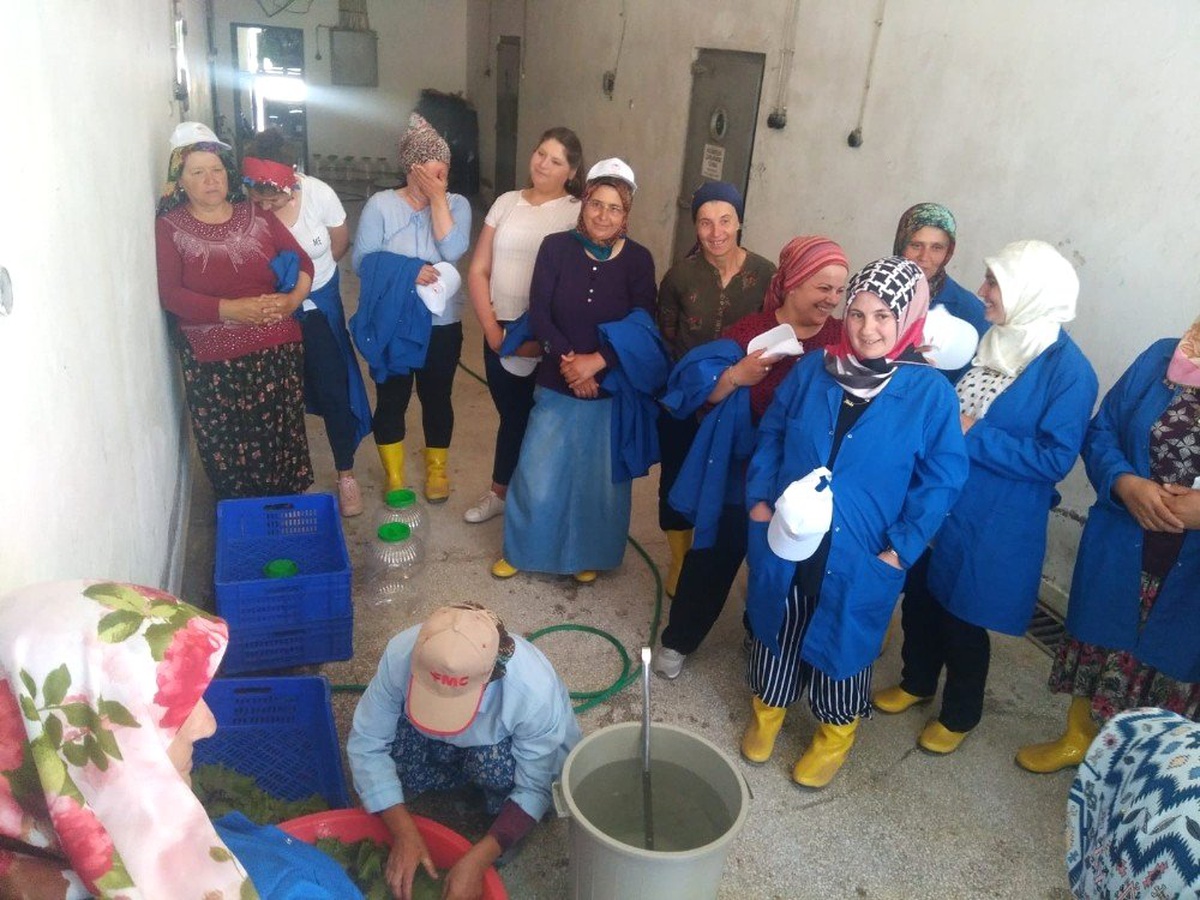 \'Kadın Çiftçiler Tarımsal Yeniliklerle Buluşuyor\' programı uygulamaya geçirildi