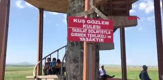 KARS KURUMA TEHLİKESİNDEKİ KUYUCUK KUŞ CENNETİ'NDE KUŞ FESTİVALİ