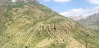 Yayla evinde yangın: 1 ölü