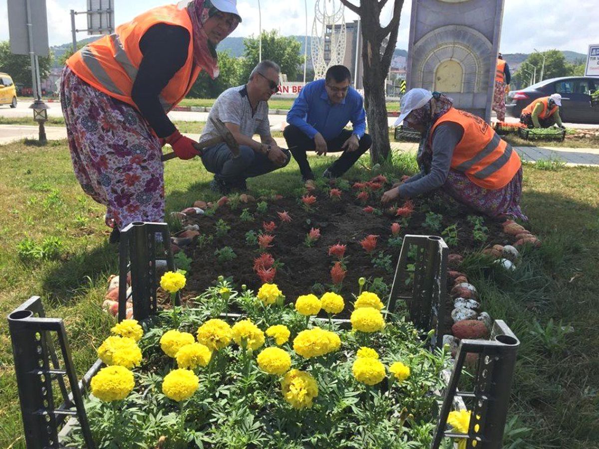 Çan\'da park ve bahçeler çiçek açtı