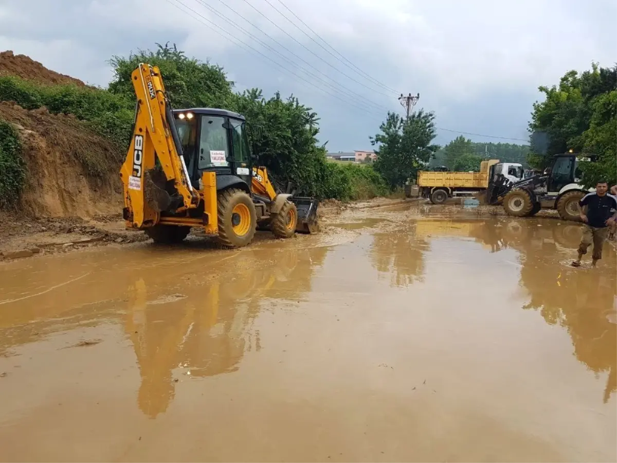 İzmit\'te 400 ton balçık çamur toplandı