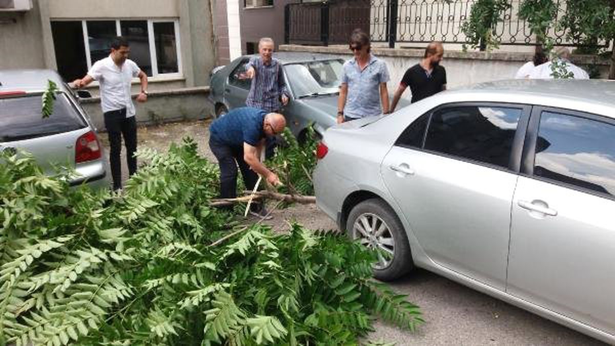 Karabük\'te şiddetli rüzgarda ağaçlar devrildi