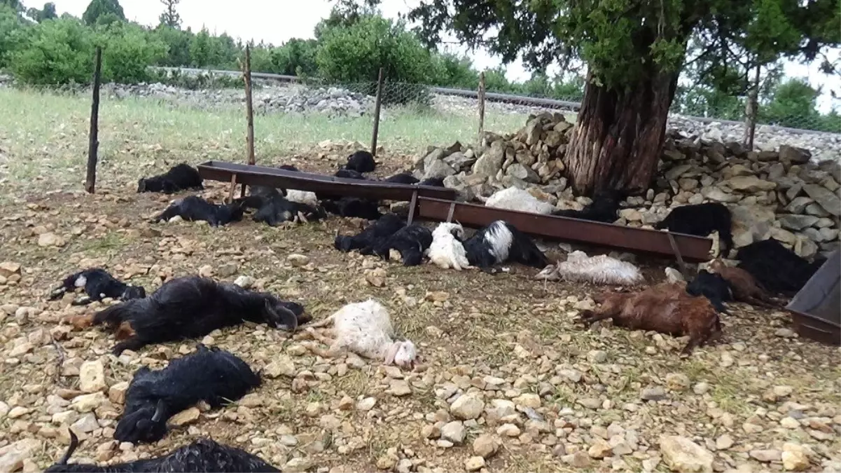 Mersin\'de sel ve yıldırım hayatı olumsuz etkiledi