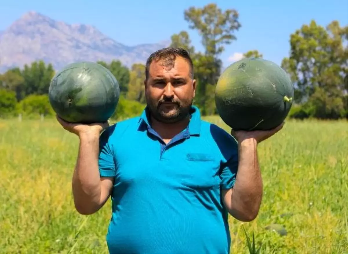 500 ton karpuz elinde kalan çiftçi: Bu yıl da evde kaldım