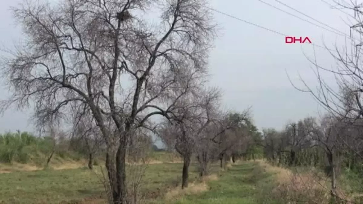 AYDIN JES\'LERİN ZARARLARINI RAPORLADILAR