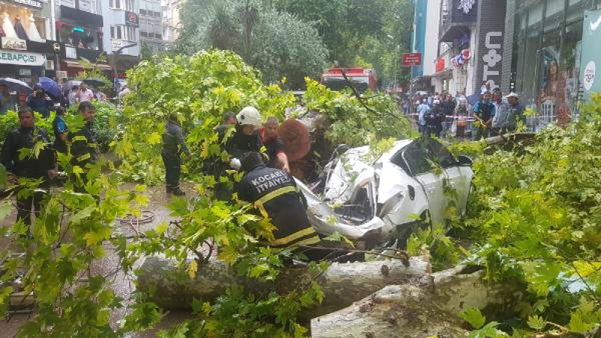 Çınar ağacı otomobilin üzerine devrildi: 1 yaralı