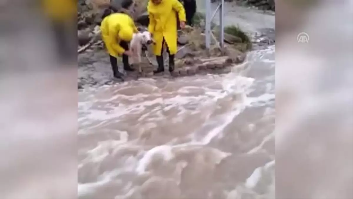 Dağda mahsur kalan çobanı AFAD ekipleri kurtardı