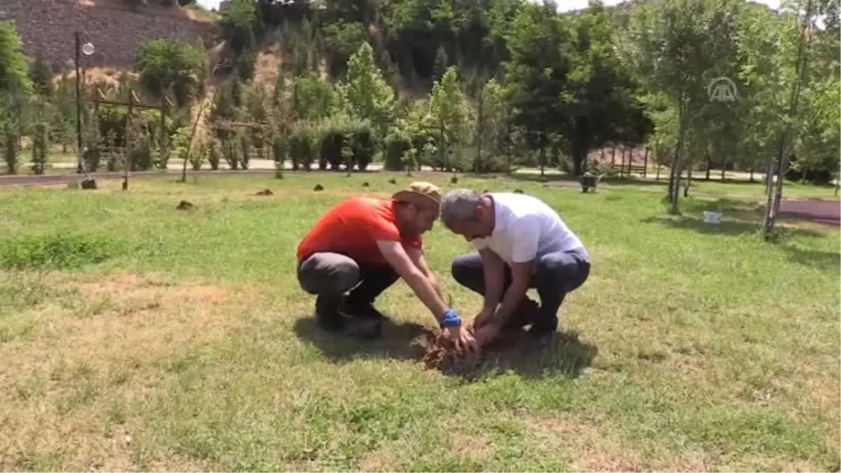 "Dünya Barış Ormanları"nı kurmak için il il geziyor - TUNCELİ