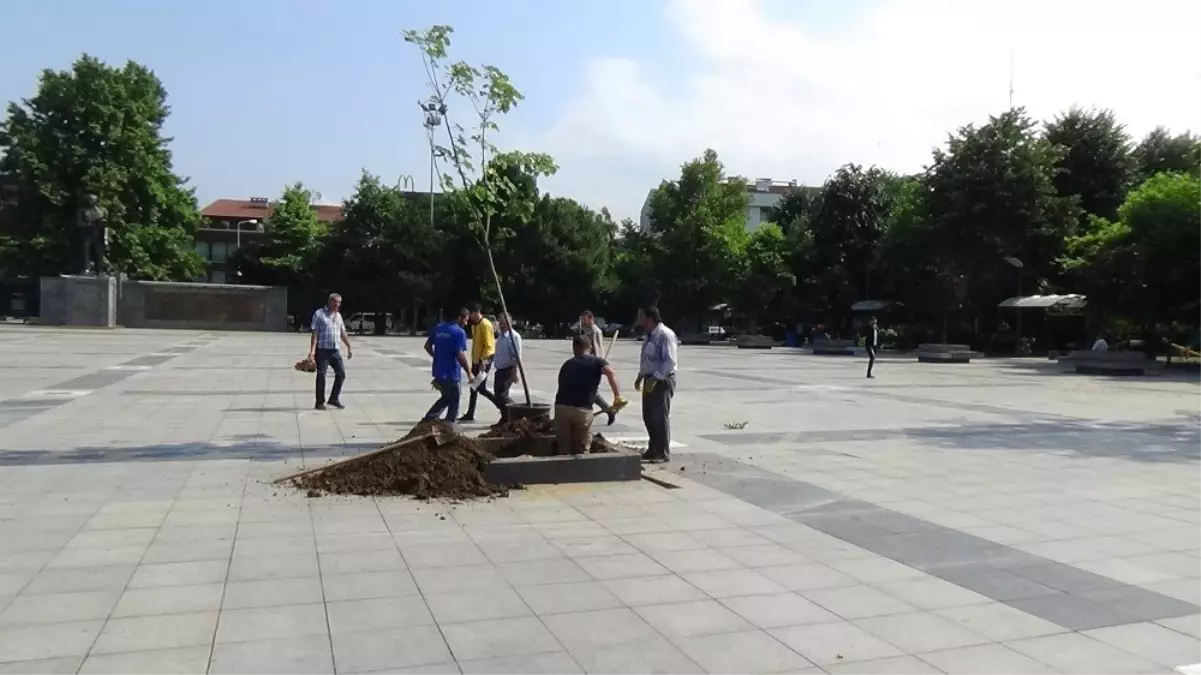 Düzce\'de yenilenme devam ediyor