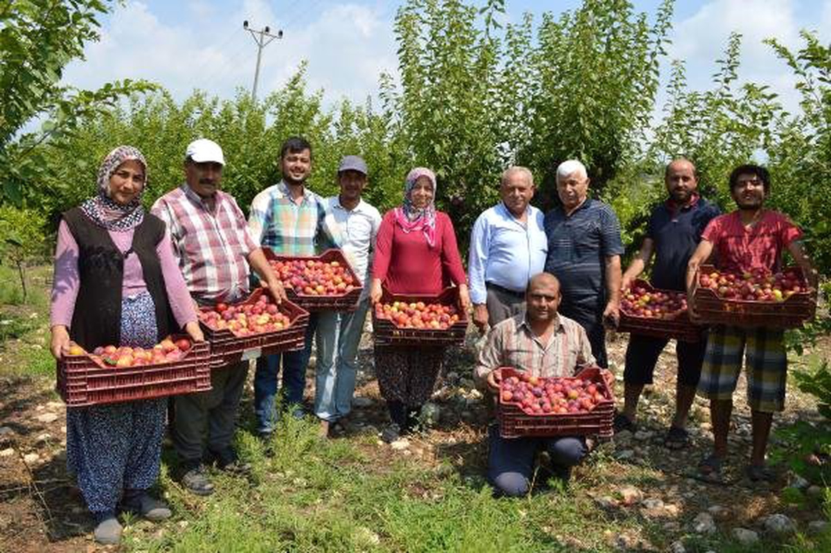 \'Japon eriğinde girdi fiyatları düşürülsün\' talebi