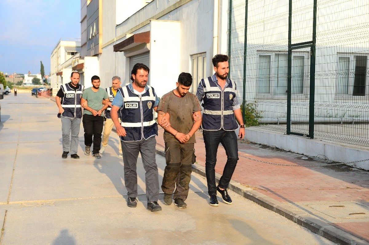 Köpeğine sokak kedisini parçalattı, "Hayvan severim" diye kendini savundu