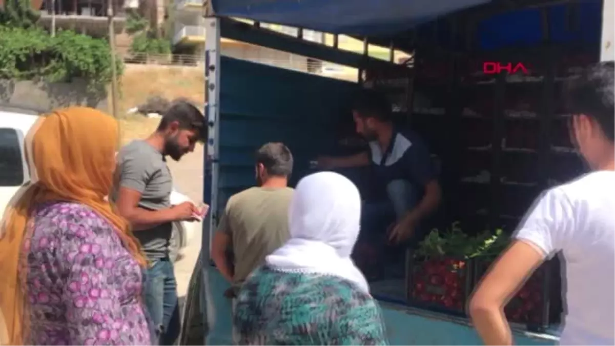 MARDİN KİLOSU 1 LİRADAN SATILAN DOMATESTEN KASA KASA ALDILAR