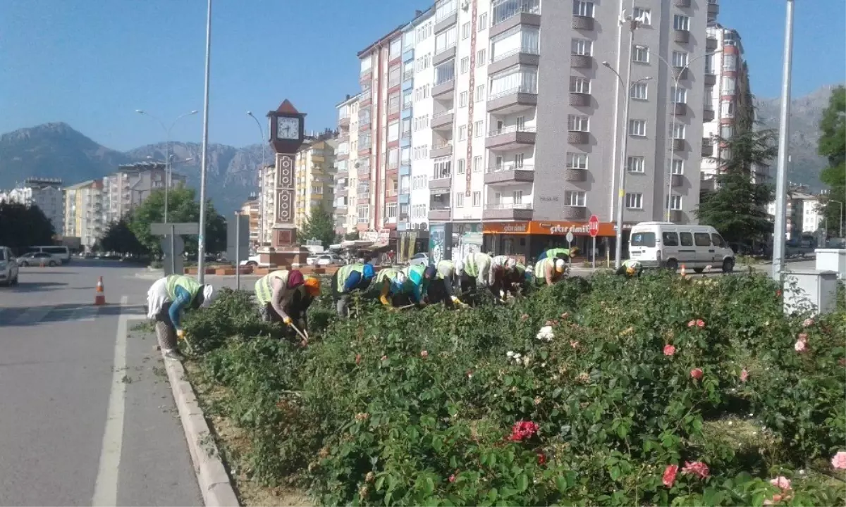 Seydişehir\'de kavşak ve refüjler renkleniyor