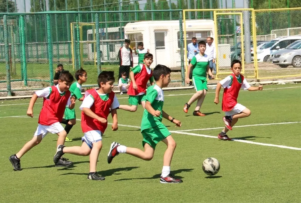 Yaz okulu kayıtları başladı