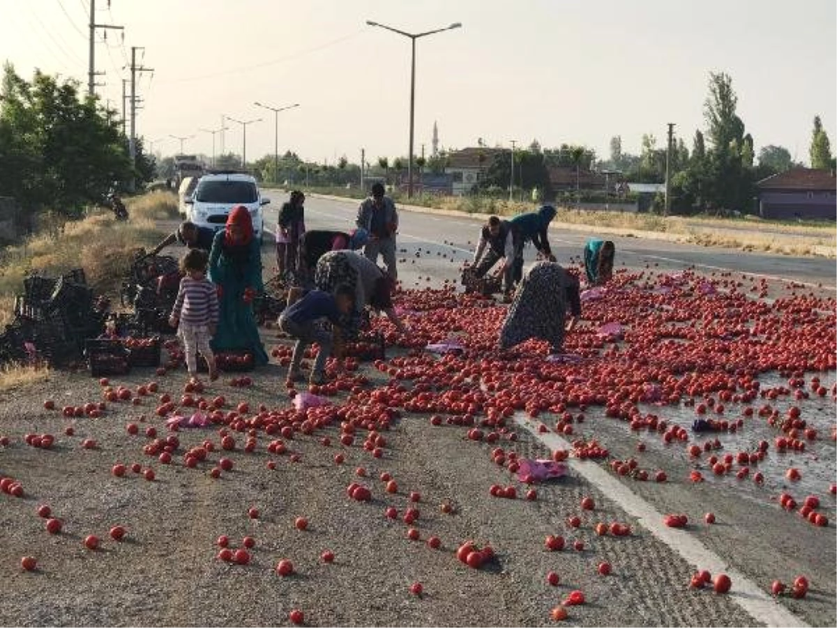 TIR kaza yaptı, mahalleli yola saçılan domatesleri toplayıp evlerine götürdü