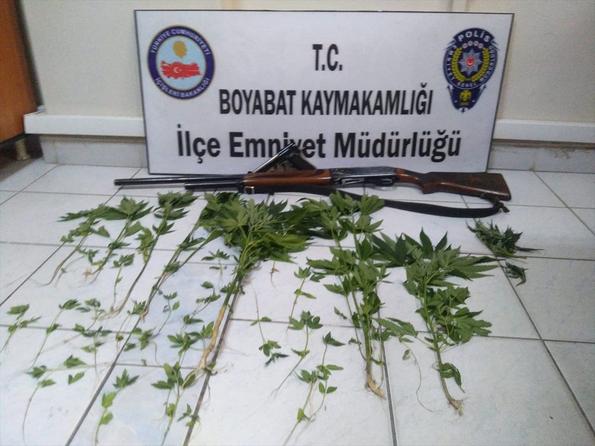 Boyabat\'ta hint keneviri ele geçirildi