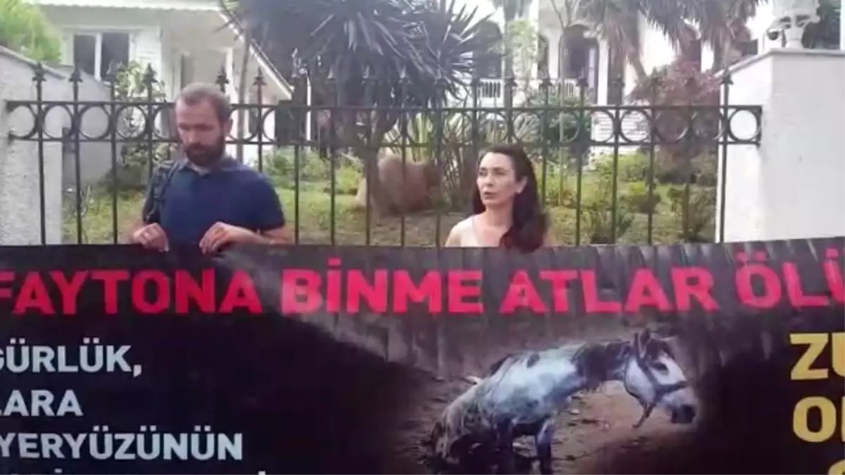 Büyükada\'da 9 atın yandığı ahırın sahibi hakim karşısına çıktı