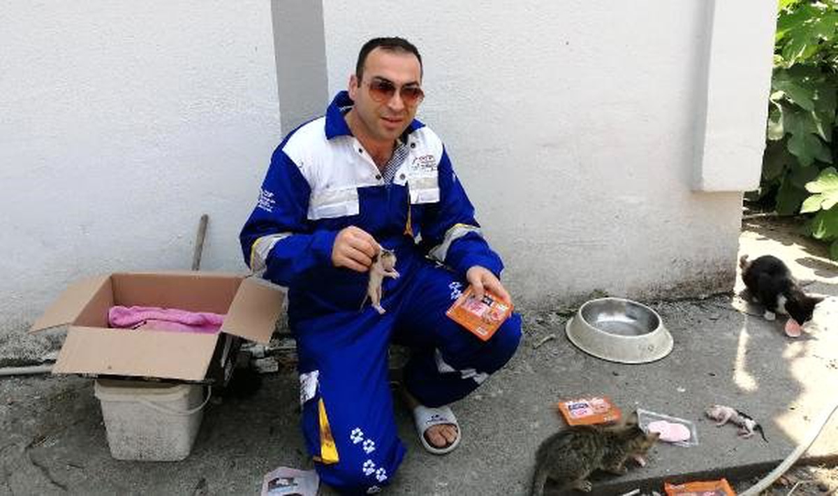 Doğumda anneleri ölen yavru kedilere süt anne aranıyor