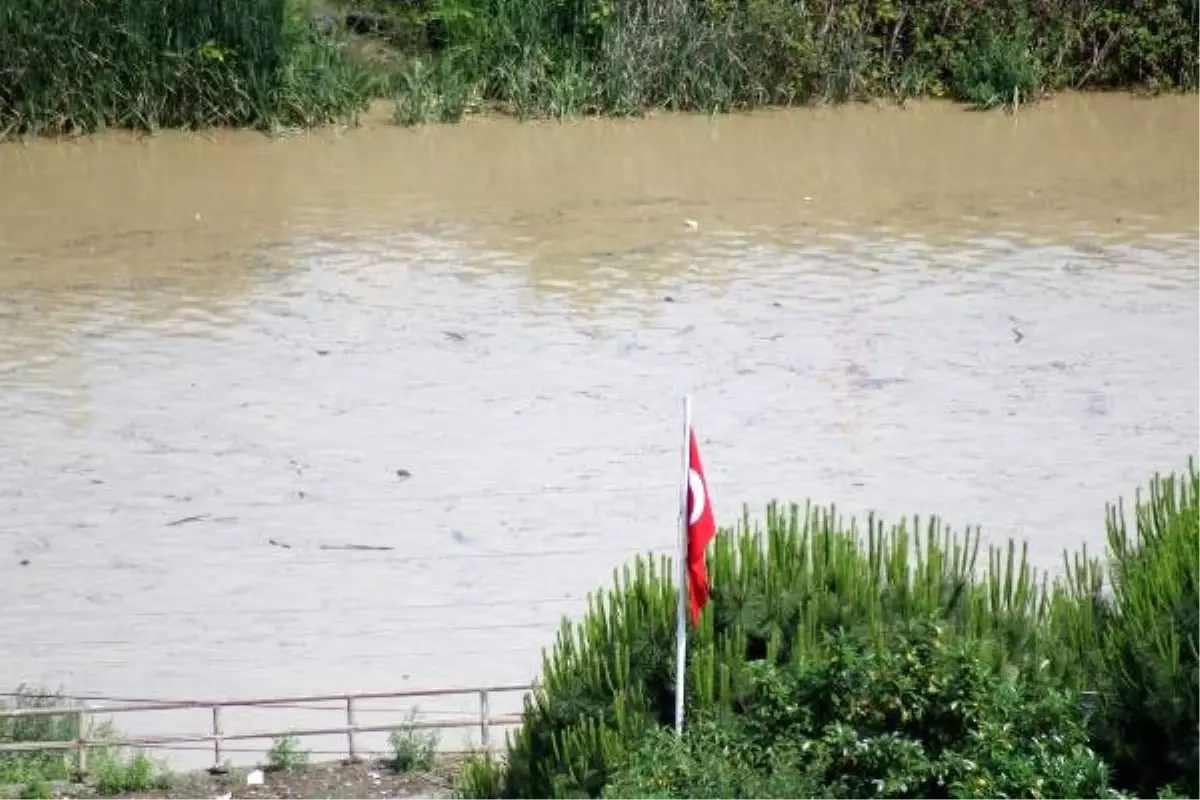 Karadeniz, sağanak sonrası kirlendi