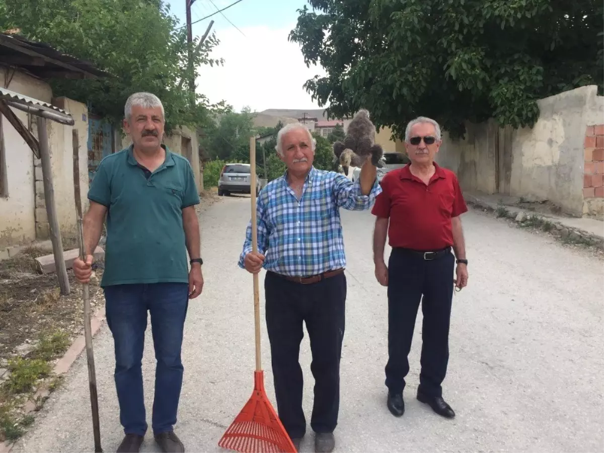 Mahalleliler sulama kanalına düşen kaz yavrusu için seferber oldu