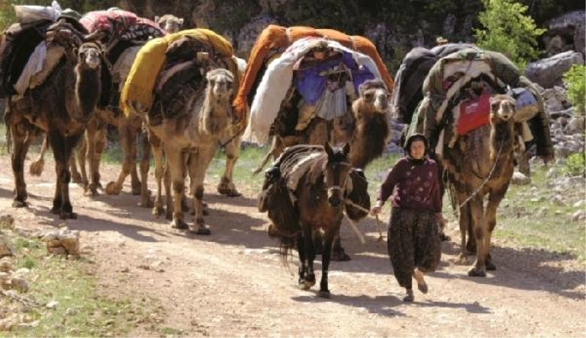 Sarıkeçili Yörükler, konargöçer hayatı sürdürüyor